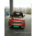 V3 EV Car/Electric Car for Sale/Made in China/Low Price and High Quality